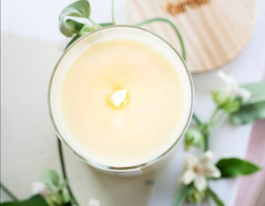 Pure Calm Candle - IOSOI Skin Lab